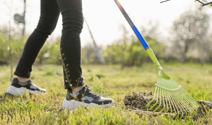 AC Landscaping